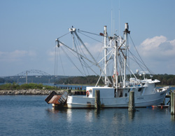 Aqua Grille