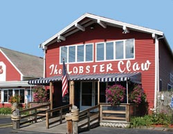 The Lobster Claw