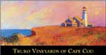 Truro Vineyards of Cape Cod